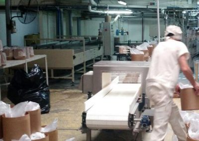 Linea taxonera final